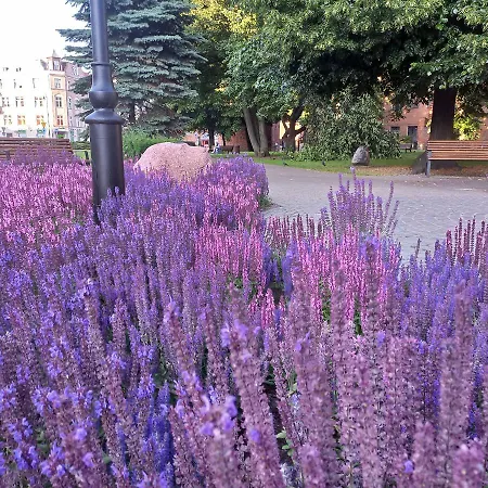 Apartman Prowansalski *