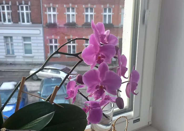 Prowansalski Apartment *